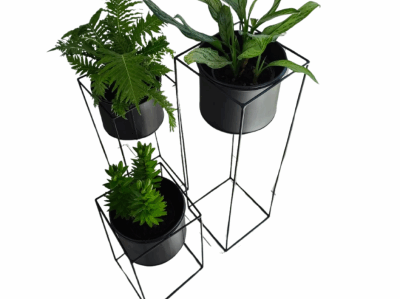 Trio Planter